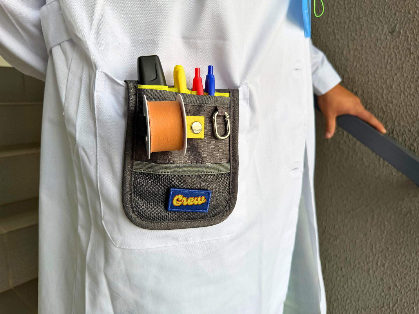 ORGANIZADOR